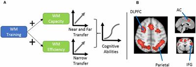 A Review of Working Memory Training in the Management of Attention Deficit Hyperactivity Disorder